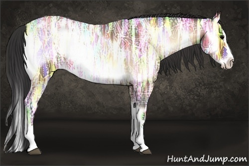 Horse Color:Bay Ice Roan Onyx Splash Appaloosa 