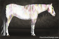 Horse Color:Bay Ice Roan Onyx Splash Appaloosa 