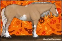 Horse Color:Silver Bay Dun Sabino Tobiano Frame Rabicano 