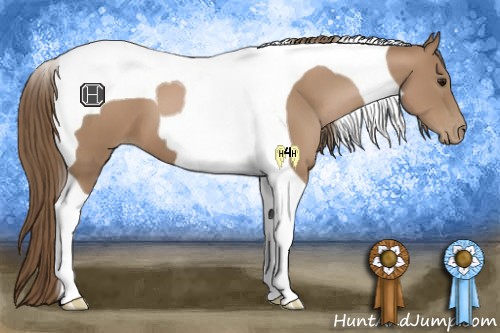 Horse Color:Black Pearl Tobiano