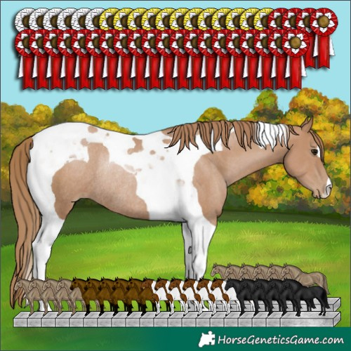 Horse Color:Black Pearl Tobiano Rabicano 