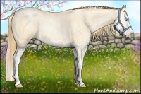 Horse Color:Buckskin Roan Pearl  and Buckskin Roan Pearl Splash 