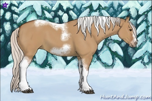 Horse Color:Silver Bay Dun Sabino Tobiano Frame Rabicano 