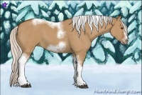 Horse Color:Silver Bay Dun Sabino Tobiano Frame Rabicano 