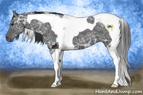Horse Color:Black Ice Tobiano 