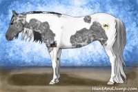 Horse Color:Black Ice Tobiano