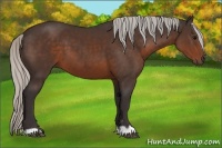 Horse Color:Silver Brown