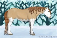 Horse Color:Red Dun Splash 