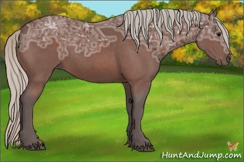 Horse Color:Silver Bay Ice 