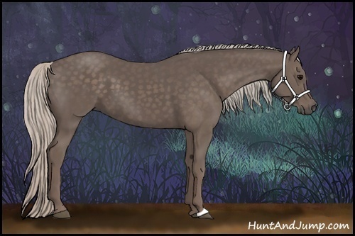 Horse Color:Silver Black