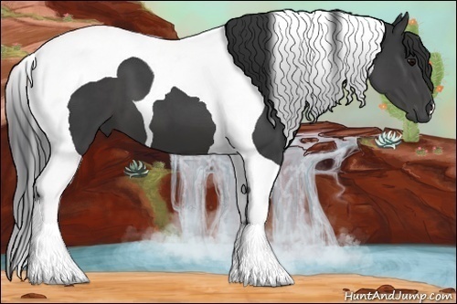Horse Color:Black Tobiano 