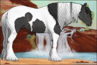 Horse Color:Black Tobiano 