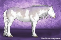 Horse Color:Watercolor Silver Buckskin Splash Appaloosa 