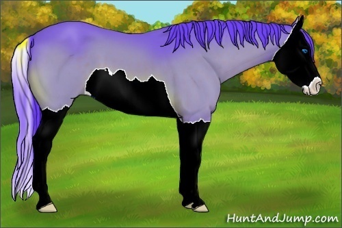 Horse Color:Watercolor Buckskin Splash 