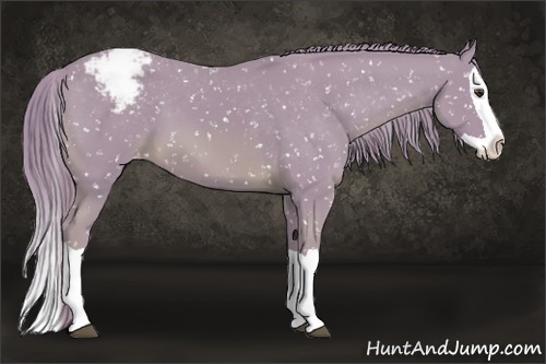 Horse Color:Watercolor Chestnut Splash Snowflake Varnish