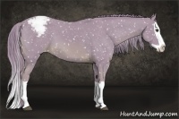 Horse Color:Watercolor Chestnut Splash Snowflake Varnish