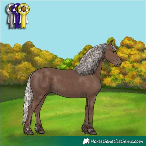Horse Color:Silver Black Rabicano  and Silver Black Rabicano 