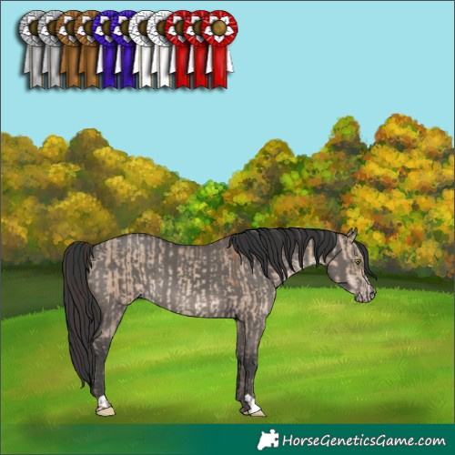 Horse Color:Sable Champagne Dun and Grullo