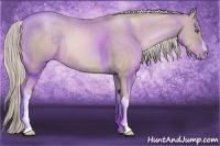 Horse Color:Chocolate Palomino Pearl