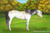 Horse Color:White Spotted Sable Champagne Dun 