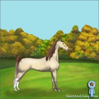 Horse Color:Sable Champagne Dun Appaloosa 