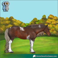 Horse Color:Liver Chestnut Tobiano 
