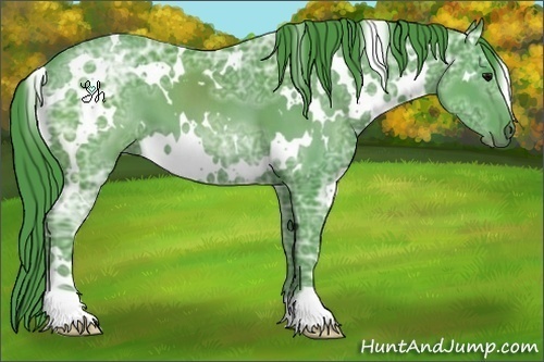 Horse Color:Watercolor White Spotted Black Ice