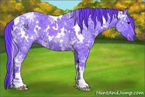 Horse Color:Watercolor White Spotted Black Ice 