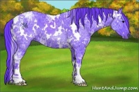 Horse Color:Watercolor White Spotted Black Ice