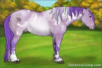 Horse Color:Watercolor White Spotted Grullo Pearl Sabino