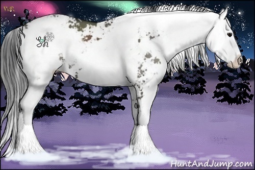 Horse Color:Grullo Sabino 