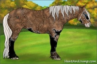 Horse Color:Silver Bay Ice Splash 