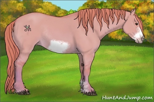 Horse Color:Watercolor Red Dun Sabino Frame Rabicano 
