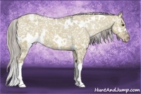Horse Color:White Spotted Chocolate Palomino Dun Snowflake Varnish