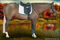 Horse Color:Silver Black 