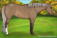 Horse Color:Silver Brown Dun 