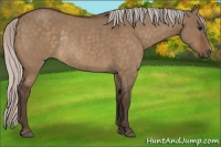 Horse Color:Silver Brown Dun Rabicano 