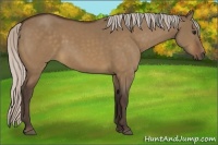 Horse Color:Silver Brown Dun