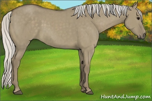 Horse Color:Silver Smoky Grullo Brindle 