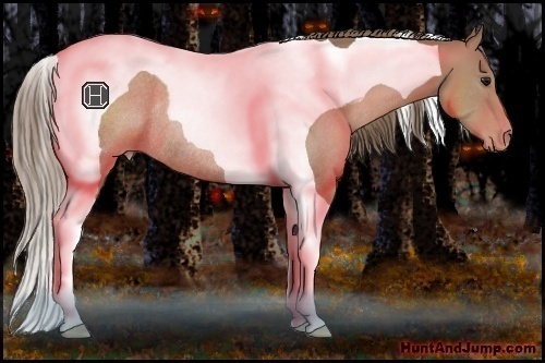 Horse Color:Black Pearl Tobiano Rabicano