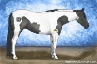 Horse Color:Black Tobiano 