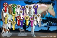 Horse Color:Grullo Roan Pearl Tobiano Rabicano 