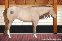 Horse Color:Bay Roan Pearl