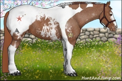 Horse Color:White Spotted Chestnut Tobiano Snowcap 