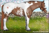 Horse Color:White Spotted Chestnut Tobiano Snowcap 