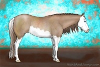 Horse Color:Black Pearl Sabino Splash Rabicano