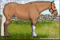 Horse Color:Silver Bay 