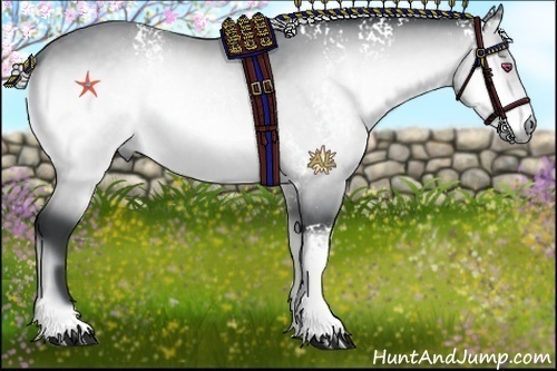 Horse Color:White Spotted Silver Bay Chinchilla Onyx Rabicano 