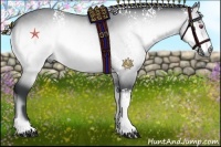 Horse Color:White Spotted Silver Bay Chinchilla Onyx Rabicano 
