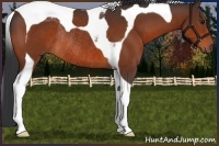 Horse Color:Bay Tobiano Rabicano